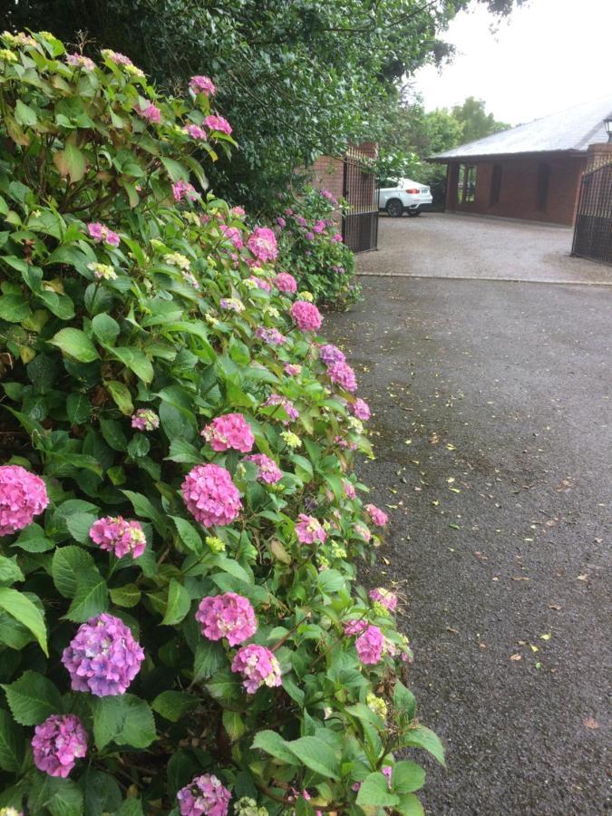 Lios Daire Cill Airne Esterno foto